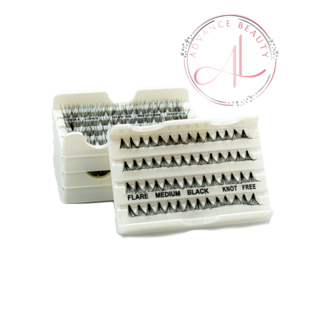 Box of Cluster Lash Trays - Mi Chùm - Bulk